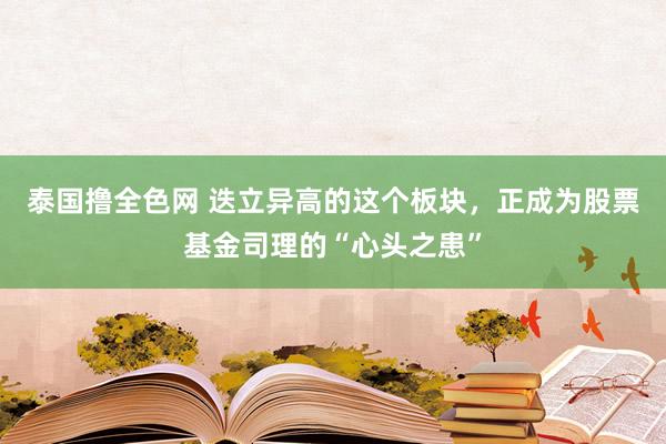 泰国撸全色网 迭立异高的这个板块，正成为股票基金司理的“心头之患”