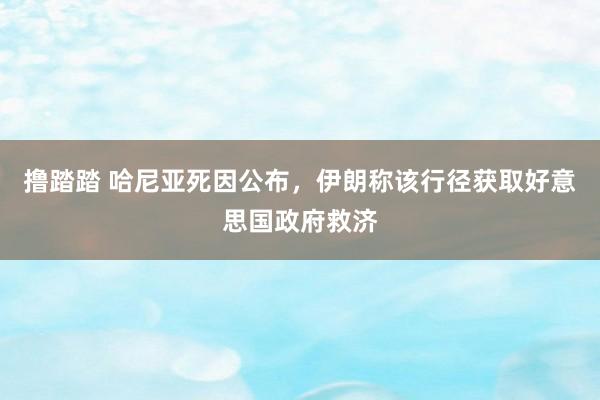 撸踏踏 哈尼亚死因公布，伊朗称该行径获取好意思国政府救济