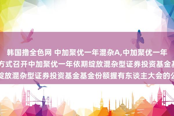 韩国撸全色网 中加聚优一年混杂A，中加聚优一年混杂C: 对于以通信开会方式召开中加聚优一年依期绽放混杂型证券投资基金基金份额握有东谈主大会的公告