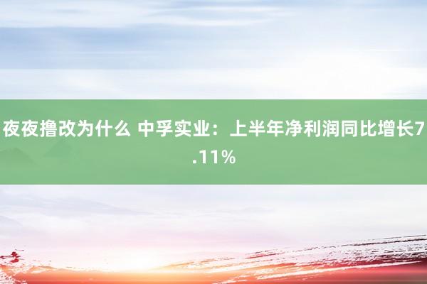 夜夜撸改为什么 中孚实业：上半年净利润同比增长7.11%